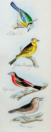 [Hand-colored plates]. The Feathered Tribes of the British Islands.